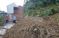Quang Nam’s coastal localities face serious landslides 