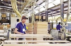 Wood consumption to rise by 10 percent 