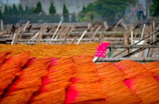 Vietnam's century-old incense-making village