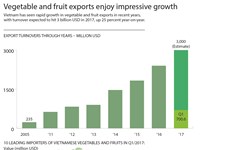 Vegetable and fruit exports enjoy impressive growth