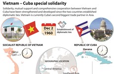 Vietnam – Cuba special solidarity