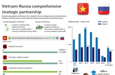 Vietnam-Russia comprehensive strategic partnership