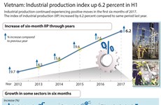 Vietnam: Industrial production index up 6.2 percent in H1