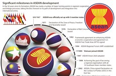 Significant milestones in ASEAN development