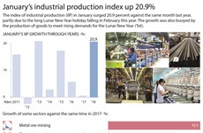 January’s industrial production index up 20.9%