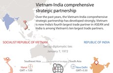 Vietnam-India comprehensive strategic partnership 