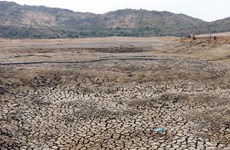 Ninh Thuan province in thirst for water