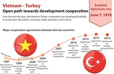 Open path towards Vietnam-Turkey development cooperation 