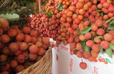Lychee export value increases 126 per cent this year