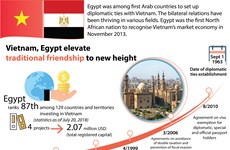 Vietnam, Egypt elevate traditional friendship to new height