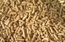 Wood pellets to become future clean energy