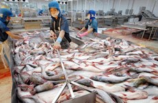 Tra fish shipments give hope to aquatic product exports