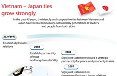 Vietnam - Japan ties grow strongly