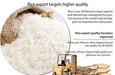 Rice export targets higher quality 