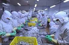 Agro-forestry-fishery exports targeted at over 42 bln USD for 2020