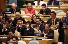 Vietnam – a trustworthy, proactive, responsible member of the United Nations