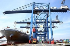 Shipping companies benefit from increasing freight rates: SSI