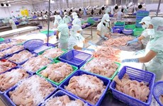 Vietnamese seafood sector to enjoy strong growth in 2021-2030: Report 