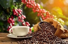 Xuất khẩu cà phê tăng gần 50% trong 6 tháng đầu năm