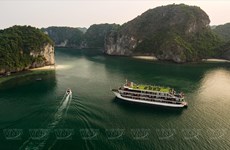 Exploring the beauty of Lan Ha Bay 