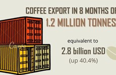 Coffee export value surges over 21% in August