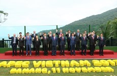 Vietnam marks 20 years of APEC membership