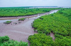 Exploring nine Ramsar sites of Vietnam