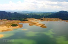 Vietnam strives to protect wetlands – “cradle” of biodiversity