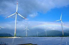 Ninh Thuan working to establish itself as national renewable energy centre