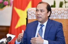Vietnam’s chairmanship helped ASEAN assert centrality in region: Official