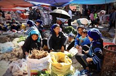 A vivid market of Ha Nhi people in mountainous Y Ty commune
