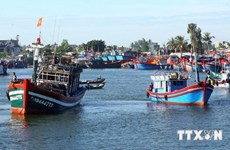 Infrastructure needs upgrading to develop modern fisheries sector