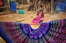 Mong people in Van Ho preserve unique traditional linen weaving
