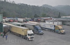 Official suggests solutions to goods congestion at border gates