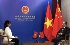 Vietnamese economy greatly open, full of vitality: Chinese ambassador