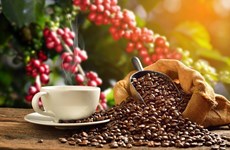 Coffee industry works to improve product value