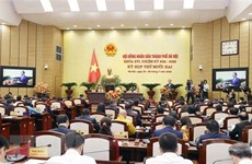 Hanoi Council devises key tasks, measures to foster development