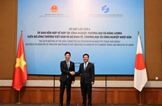 Vietnam calls for Japanese investment in key industries