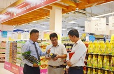 Sustainable supply chains to help reinforce foothold of Vietnamese goods