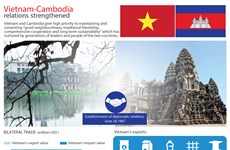Vietnam-Cambodia relations strengthened