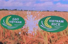 Vietnamese rice gets official brand name