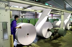 Paper industry needs plans to sprout