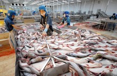 Tra fish sector aims high in 2019