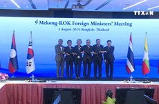 Vietnam affirms commitment to Mekong-Japan cooperation