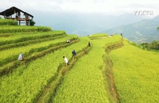 Tourist magnet in Ha Giang strives for sustainable development