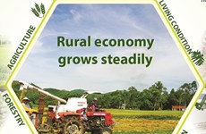 Rural economy grows steadily