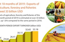 Exports of agriculture, forestry and fisheries exceed 33 billion USD 