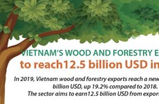 Vietnam's wood and forestry exports expected to reach 12.5 bil in 2020