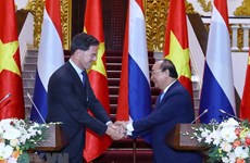Vietnam - Netherlands comprehensive cooperation 
