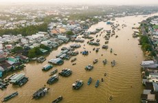 Cai Rang floating market – fantastic tourism hotspot in Mekong Delta